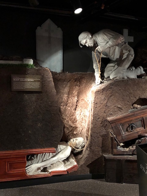 Image of body snatching exhibit at Glasnevin Cemetery