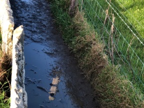 Image of a muddy path at the Cliffs of Moher