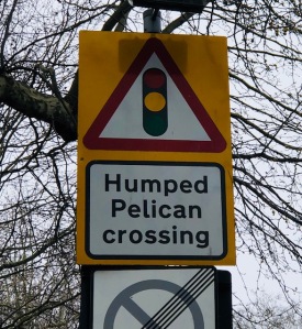 Image of a road sign that says, "Humped Pelican crossing."