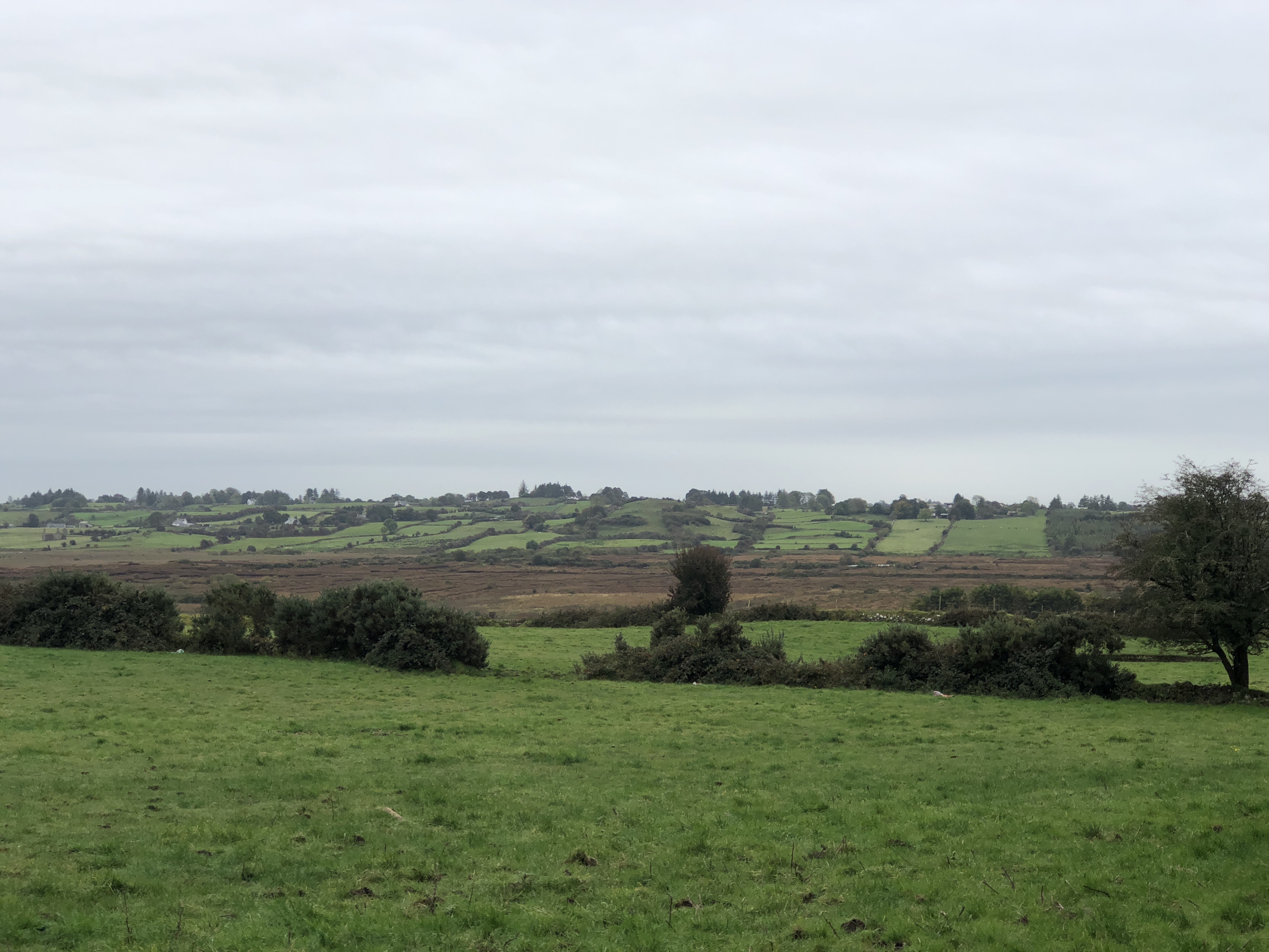 Image of fields in Ireland