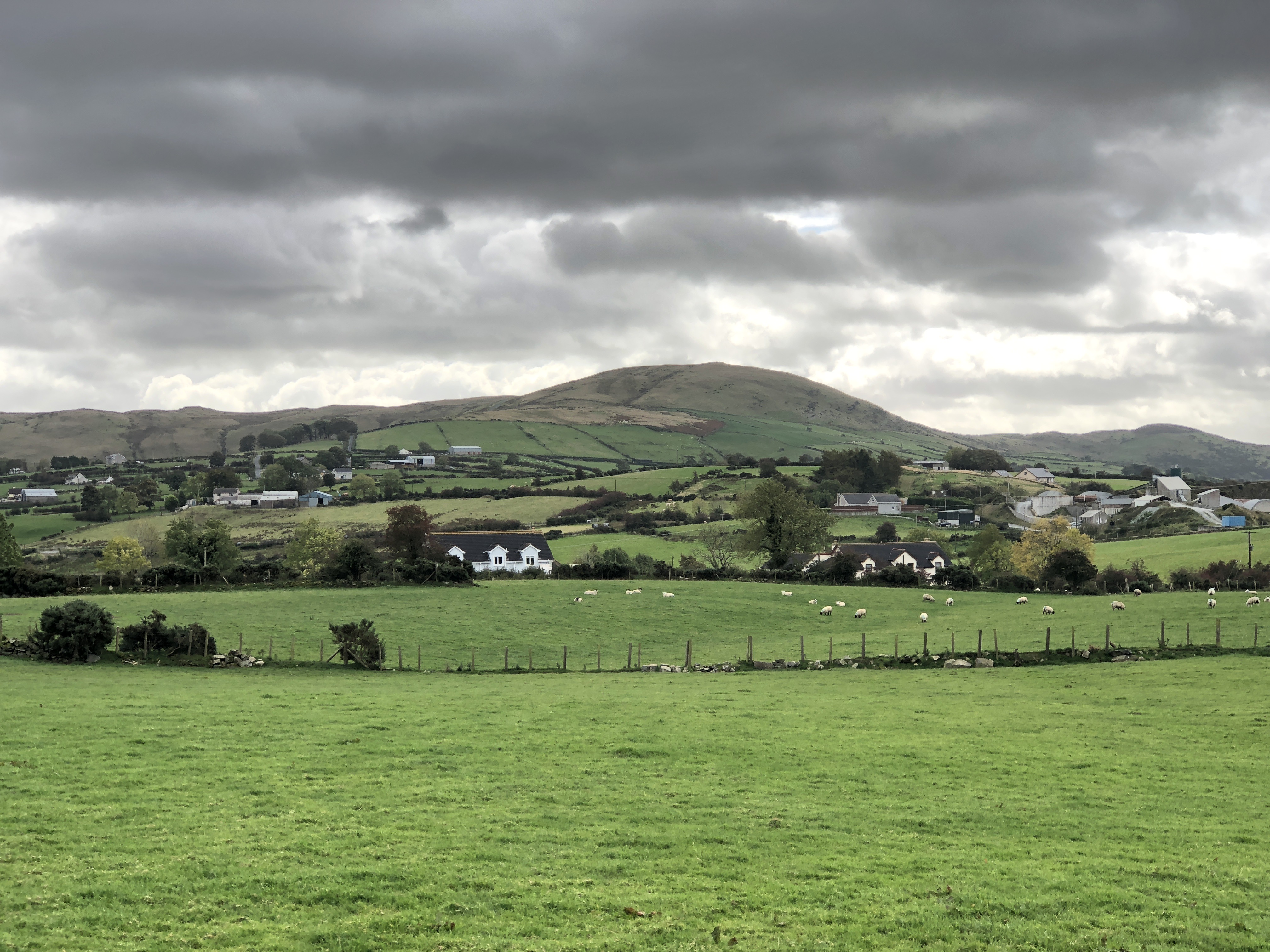 Image of farmland in Ireland.